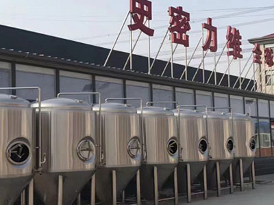 龙州精酿啤酒设备厂—如何判断精酿啤酒设备的密封件需要更换？